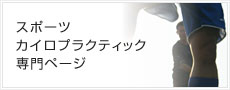 スポーツカイロプラクティック専門ページ