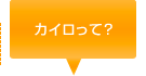 カイロって?へ